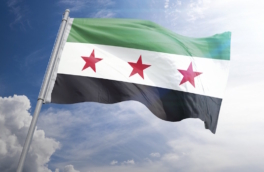 Сирийская армия начала операцию против курдских формирований в Алеппо