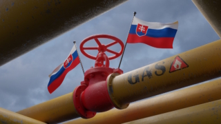 В Словакии назвали размер ущерба при прекращении поставок газа из РФ