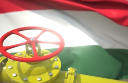 Венгрия захотела оспорить в суде запрет ЕС на поставки газа из России
