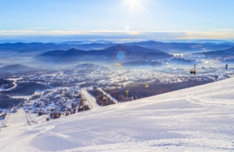 Турпоток в Западной Сибири растет: итоги 2025 года и планы регионов до 2029-го