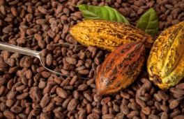 Цены на какао-бобы стали ниже $4000 за тонну впервые с 2023 года