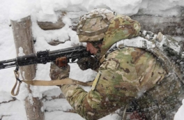 ВС РФ взяли под контроль Торецкое и Петровку