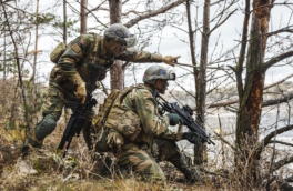 Норвегия отправила двух военных в Гренландию на фоне заявлений Трампа