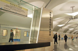 Между станциями метро "Новокосино" и "Новогиреево" не будет движения поездов с 9 по 12 января: как доехать