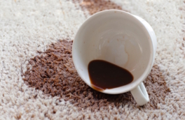 Как убрать пятна с ковра: простые хитрости, которые всегда сработают