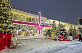 Рекордные четверть миллиарда посещений зафиксировали в парках Москвы за год