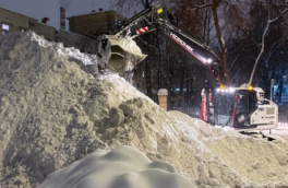 В Москве 29 января возможны рекордные сугробы: до 60 см и выше