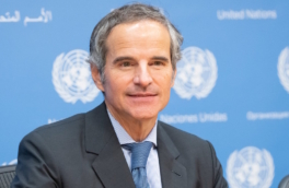 Посол Аргентины в РФ представил кандидатуру главы МАГАТЭ Гросси на пост генсека ООН