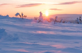 В Мурманске из-за блэкаута отменили праздник встречи солнца после полярной ночи