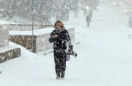 В Москве выпало 20% месячной нормы осадков