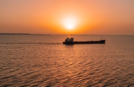 Туркмения спасла 14 членов экипажа иранского сухогруза Rona