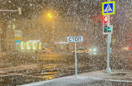 Снегопад и гололедица ожидаются в Москве и Подмосковье в ночь на 7 января