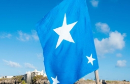 Израиль хочет переселить в Сомалиленд палестинцев, заявил министр обороны Сомали