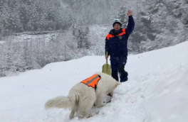 Петербургские спасатели и волонтеры рассказали о работе в чрезвычайных ситуациях зимой