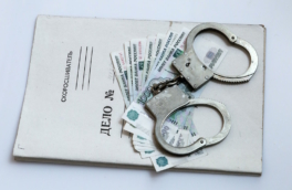 Дело о мошенничестве при реализации нацпроекта возбудили в Тамбовской области