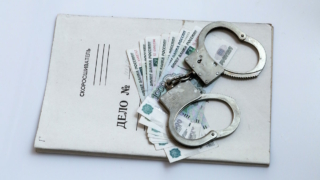 Дело о мошенничестве при реализации нацпроекта возбудили в Тамбовской области