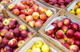 Экспорт грузинских яблок в Россию в 2025 году удвоился и достиг рекорда