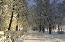 Какая погода будет в ночь на Крещение в Москве и области: в Гидрометцентре уточнили прогноз