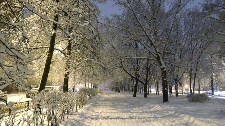 Какая погода будет в ночь на Крещение в Москве и области: в Гидрометцентре уточнили прогноз
