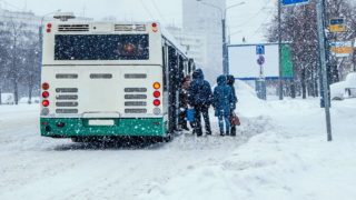 В Петербурге временно изменили 5 автобусных маршрутов