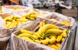 Только рекомендация: в России объяснили ГОСТ на бананы меньше 14 см