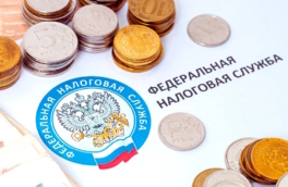 ФНС пообещала не штрафовать малый бизнес за первые ошибки после налоговых изменений