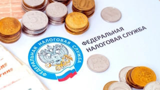 ФНС пообещала не штрафовать малый бизнес за первые ошибки после налоговых изменений