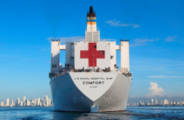 В США раскритиковали решение Гренландии отклонить плавучий госпиталь