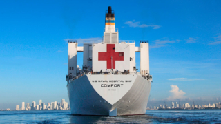 В США раскритиковали решение Гренландии отклонить плавучий госпиталь