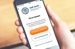 Ограничение режима самозанятости: что предлагает Нилов и почему это вызывает споры