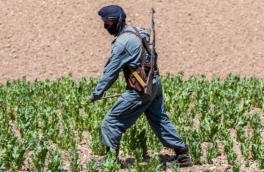 В Афганистане остановлено 10 подпольных нарколабораторий, изъято 22 тонны прекурсоров