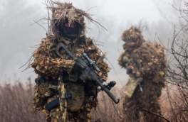 Как изменится расчет стажа для участников СВО в Белгородской, Брянской и Курской областях