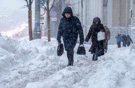 Когда прекратится снегопад в Москве, сообщил синоптик