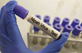 В аэропорту Минска усилили контроль из-за вируса Нипах