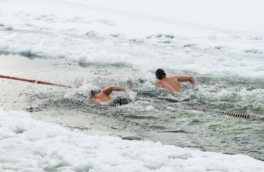 Антарктический заплыв без гидрокостюмов: международная гонка за мировым рекордом стартует в феврале 2026-го