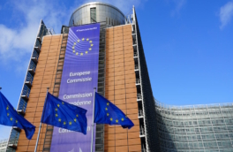 Еврокомиссия отказалась финансировать проект милитаризации восточного фланга ЕС из своих средств