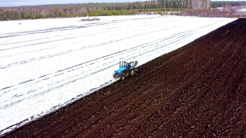 Снег в помощь: ждет ли Россию в этом году рекордный урожай