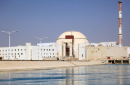 Путин лично участвует в решении вопросов безопасности россиян на АЭС "Бушер"