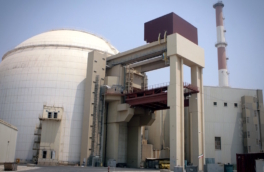 "Где-то произошло запыление, где-то выбило стекло": в "Росатоме" рассказали о ситуации на АЭС "Бушер"