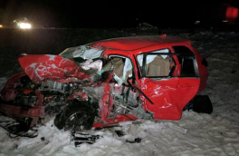 Трое погибли, шестеро в больнице: водитель минивэна сбил лошадь и столкнулся с Toyota на встречке в Туве