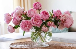 Не добавляю в воду в вазе с цветами уксус и другие народные средства: нашла то, что действительно эффективно