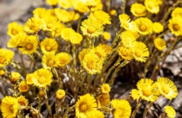 Народные приметы 30 марта: что можно и нельзя делать в этот день