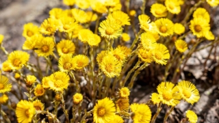 Народные приметы 30 марта: что можно и нельзя делать в этот день