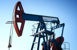 Семь стран ОПЕК+ увеличат добычу нефти в августе на 188 тысяч баррелей в сутки