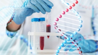 Ученые взломали код долголетия: найден биомаркер крови, предсказывающий срок жизни