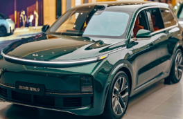 Массовые отказы в регистрации Li Auto: ГИБДД сомневается в подлинности VIN-номеров