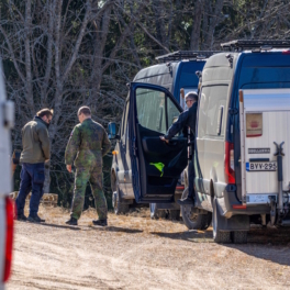 В Финляндии упал четвертый за три дня БПЛА