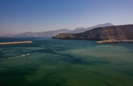 Ормузский пролив под ударом: чем конфликт в Персидском заливе грозит рынку нефти и СПГ