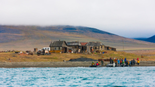 Турпоток на остров Врангеля увеличат в 6 раз: как и когда посмотреть на белых медведей в естественной среде