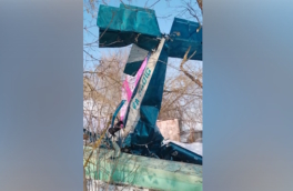 Два человека погибли при крушении легкомоторного самолета в Подмосковье